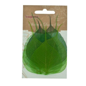 Набір скелетовані листочків зеленого кольору 8 шт