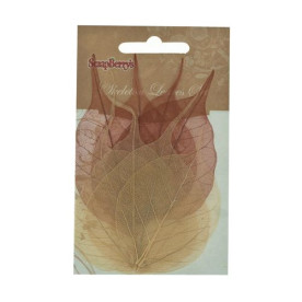 Набор скелетированных листиков бежево-коричневого цвета 8 шт