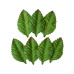 Набор листиков "Мелкая роза" зеленого цвета 7 шт