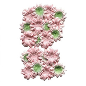 Набір плоских квіточок з Шовковичній паперу рожево-зеленого кольору 20 шт