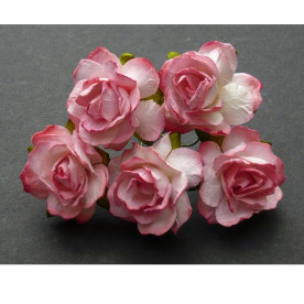 Набор 5 диких розочек клубничного цвета, 30 мм