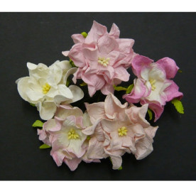 Набор 5 гардений 7 см в розово-белых тонах