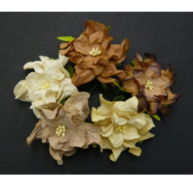 Набір 5 гарденій 7 см в коричнево-кремових тонах