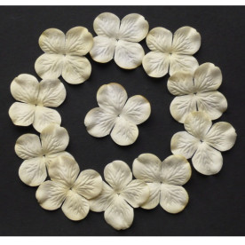 Набор 10 цветков гортензии кремового цвета 50 мм