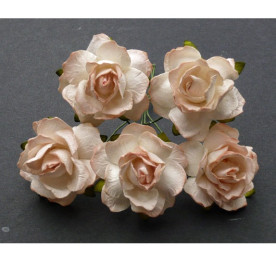 Набор 5 диких розочек персикового цвета, 30 мм.