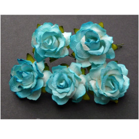Набор 5 диких розочек бирюзового цвета, 30 мм