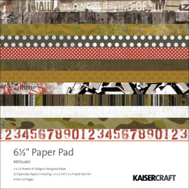 Набор бумаги Attitude!, 16х16 см, 40 листов от Kaisercraft