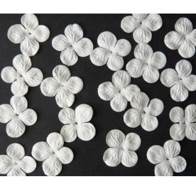 Набор 10 гортензий белого цвета, 25 мм