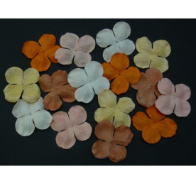 Набір 10 гортензій персиково-помаранчевих тонів, 50 мм