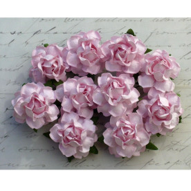 Набір 5 диких трояндочок рожевого кольору, 25 мм