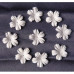 Набор 10 белых цветочков, 27 мм