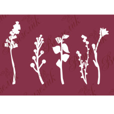 Чіпборд Гербарій, 13х18 см. 