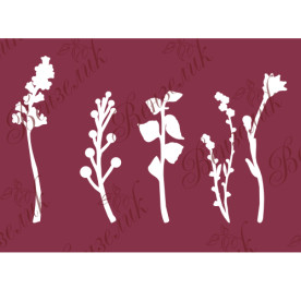 Чипборд Гербарий, 13х18 см.