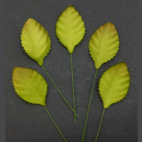 Набор декоративных листиков розы 30 мм, 10 шт