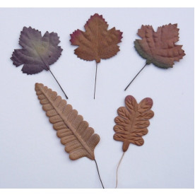 Набір декоративних листочків в коричневих тонах, 10 шт
