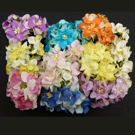 Набір гарденій різних кольорів, 3 см, 10 шт