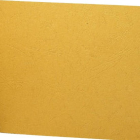 Картон з тисненням під шкіру, пісочний, А4, 250 г/м2