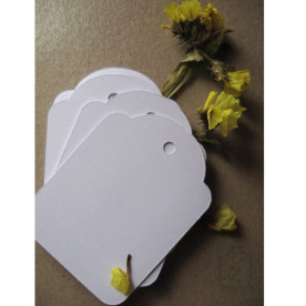 Набор тегов белого цвета 3,8х5,1см, 10 шт от Lesia Zgharda