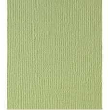 Текстурний кардсток Фісташковий 30,5х30,5 см 216 г / м2 від Scrapberry's