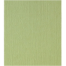 Текстурний кардсток Фісташковий 30,5х30,5 см 216 г / м2 від Scrapberry's