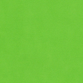 Текстурний кардсток Яскраво-зелений 30,5х30,5 см 216 г / м2 від Scrapberry's