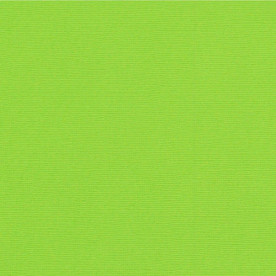 Текстурный кардсток Свежая зелень 30,5х30,5 см 216 г/м2 от Scrapberry's