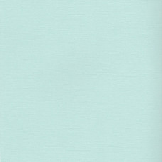 Текстурний кардсток Панг 30,5х30,5 см 216 г / м2 від Scrapberry's