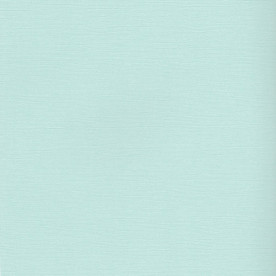 Текстурний кардсток Панг 30,5х30,5 см 216 г / м2 від Scrapberry's