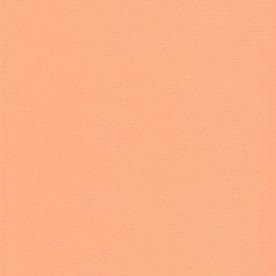 Текстурный кардсток Манго 30,5х30,5 см 216 г/м2 от Scrapberry's