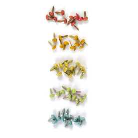 Брадсы Hippity Hoppity Glitter Brads от We R Memory Keepers