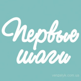 Чипборд " Первые Шаги", размер 36*60 мм