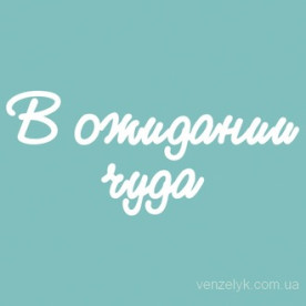 Чіпборд "В очікуванні Чуда", розмір 38 * 78 мм