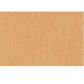 Лист фетру бежевий 20х30 см 1,4 мм поліестер від Hobby and You