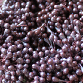 Набір перламутрових тичинок коричневого кольору, 60 головок (30 гілочок)