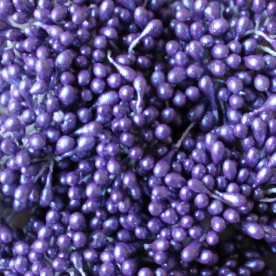 Набір перламутрових тичинок фіолетового кольору, 60 головок (30 гілочок)