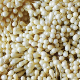 Набір перламутрових тичинок жовтого кольору, 60 головок (30 гілочок)