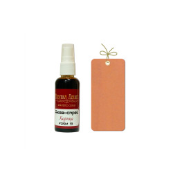 Спрей-краска Корица, Фабрика Декора