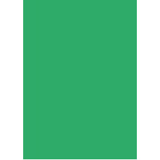 Папір для дизайну, Tintedpaper А4, 21*29,7см, №54 смарагдово-зелений, 130г/м, без текстури, Folia
