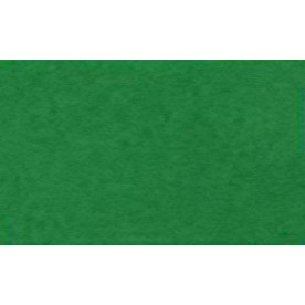 Бумага для пастели Tiziano A4 (21 * 29,7см), №12 prato, 160г / м2, зеленый, среднее зерно, Fabriano