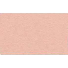 Бумага для пастели Tiziano A4 (21 * 29,7см), №25 rosa, 160г / м2, розовый, среднее зерно, Fabriano