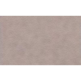 Папір для пастелі Tiziano A4 (21*29,7см), №27 lama,160г/м2,сірий з ворсинками,середнє зерно,Fabriаno