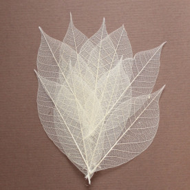 Набір скелетовані листочків натурального кольору 10 шт., 7,5 см.