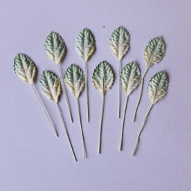 Набор листиков розы бледно-зеленого цвета, 10 шт., 30 мм.