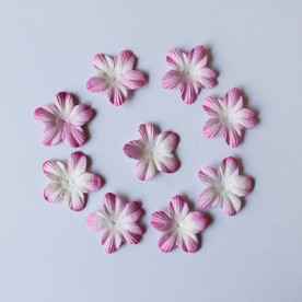 Набір рожевих квіточок-пятілістнік, 10 шт., 40 мм.