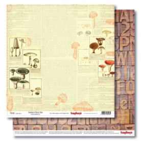 Двусторонняя бумага Справочник Грибника 30,5х30,5 см от ScrapBerry's