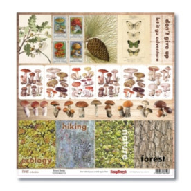 Двосторонній папір "За грибами 1" 30,5х30,5 см від ScrapBerry's