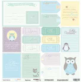 Лист одностороннього паперу 30x30 Картки з колекції Baby Boy Scrapmir