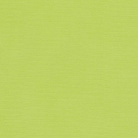 Текстурный кардсток салатовый 30,5х30,5 см 216 г/м2 от Scrapberry's