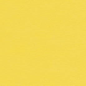 Текстурный кардсток желтый лимон 30,5х30,5 см 216 г/м2 от Scrapberry's