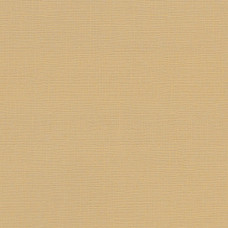 Текстурний кардсток бежевий 30,5х30,5 см 216 г / м2 від Scrapberry's